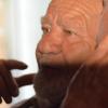 DSC_7599 (FILEminimizer)