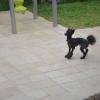 DSC_7433 (FILEminimizer)