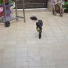 DSC_7434 (FILEminimizer)