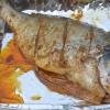 DSC_7459 (FILEminimizer)