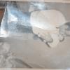 DSC_8383 (FILEminimizer)