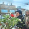 DSC_8397 (FILEminimizer)