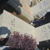 DSC_8547 (FILEminimizer)