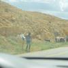 DSC_7937 (FILEminimizer)