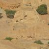 DSC_7964 (FILEminimizer)