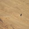 DSC_7971 (FILEminimizer)