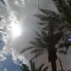DSC_7986 (FILEminimizer)