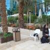 DSC_7987 (FILEminimizer)