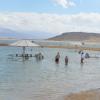 DSC_7991 (FILEminimizer)