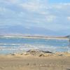 DSC_8018 (FILEminimizer)