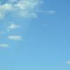 DSC_8030 (FILEminimizer)
