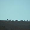 DSC_8031 (FILEminimizer)
