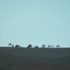 DSC_8032 (FILEminimizer)