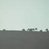 DSC_8034 (FILEminimizer)