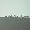 DSC_8035 (FILEminimizer)