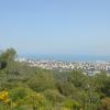 DSC_8620 (FILEminimizer)
