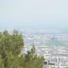 DSC_8623 (FILEminimizer)