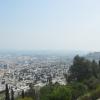 DSC_8631 (FILEminimizer)