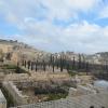 DSC_8174 (FILEminimizer)