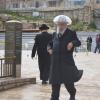 DSC_8187 (FILEminimizer)
