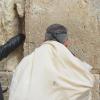 DSC_8226 (FILEminimizer)