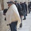 DSC_8228 (FILEminimizer)