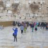 DSC_8242 (FILEminimizer)