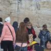 DSC_8245 (FILEminimizer)