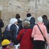 DSC_8247 (FILEminimizer)