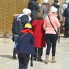 DSC_8248 (FILEminimizer)