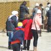 DSC_8249 (FILEminimizer)