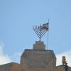 DSC_8258 (FILEminimizer)