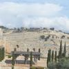 DSC_8278 (FILEminimizer)