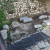 DSC_8285 (FILEminimizer)