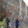 DSC_8286 (FILEminimizer)