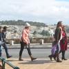 DSC_8295 (FILEminimizer)