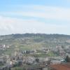 DSC_8299 (FILEminimizer)