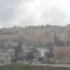 DSC_8308 (FILEminimizer)