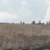DSC_8310 (FILEminimizer)