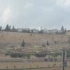 DSC_8312 (FILEminimizer)