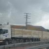 DSC_8334 (FILEminimizer)