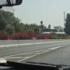 DSC_7505 (FILEminimizer)