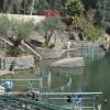 DSC_7533 (FILEminimizer)