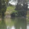 DSC_7548 (FILEminimizer)