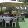 DSC_7559 (FILEminimizer)