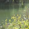 DSC_7566 (FILEminimizer)
