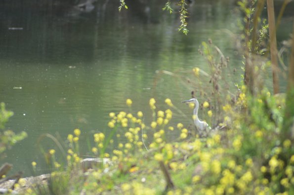 DSC_7566 (FILEminimizer)