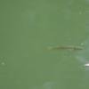 DSC_7567 (FILEminimizer)