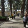 DSC_7575 (FILEminimizer)