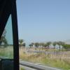 DSC_7578 (FILEminimizer)